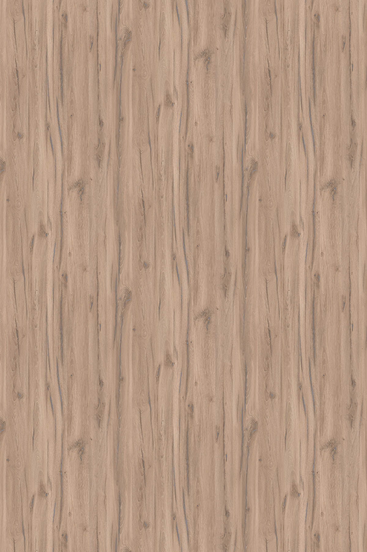 Дуб Альпийский, U1158_1830х2750 Дуб Альпийский, U1158_1830х2750