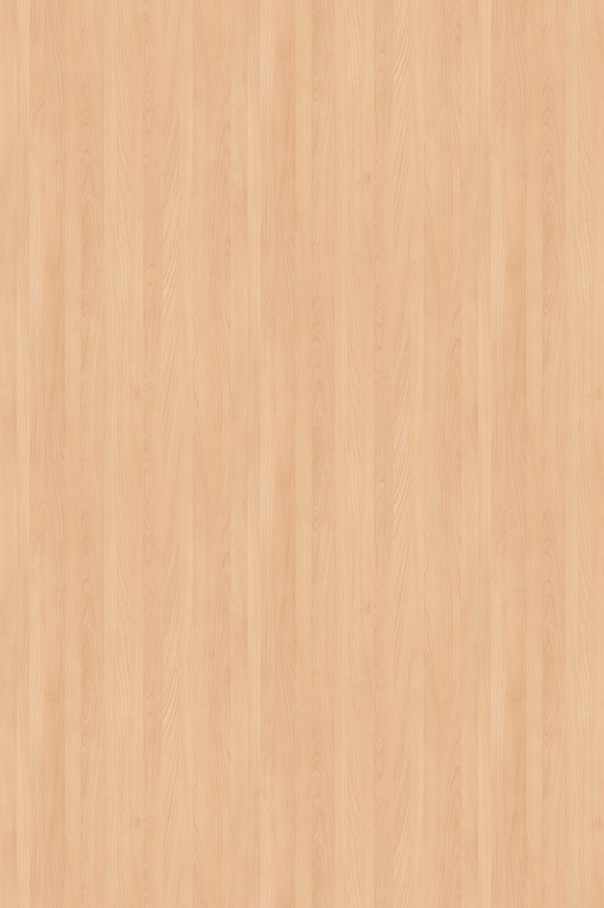 Frame 8