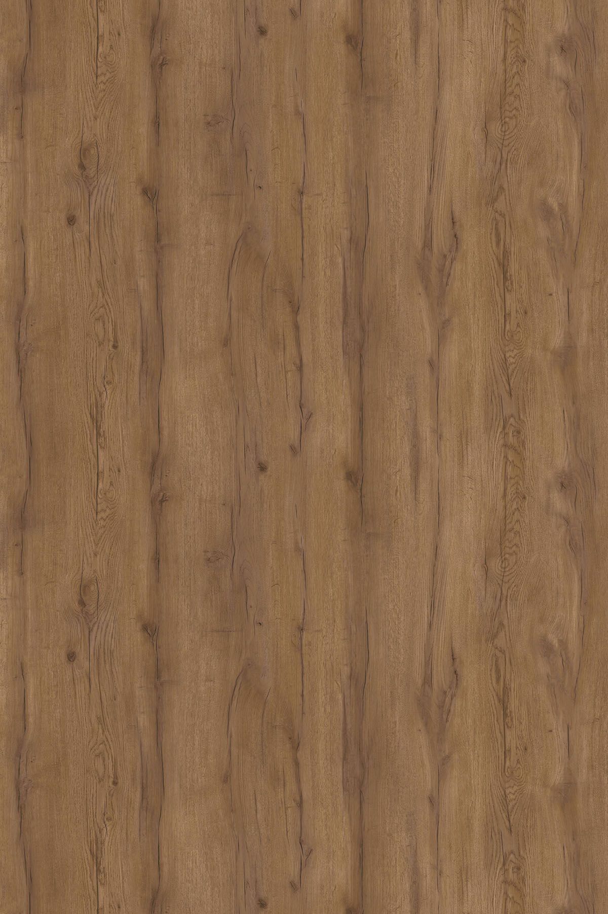 Дуб Табачный, U1147_1830х2750