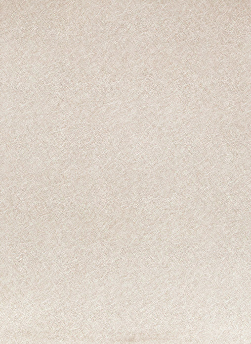 229 229
