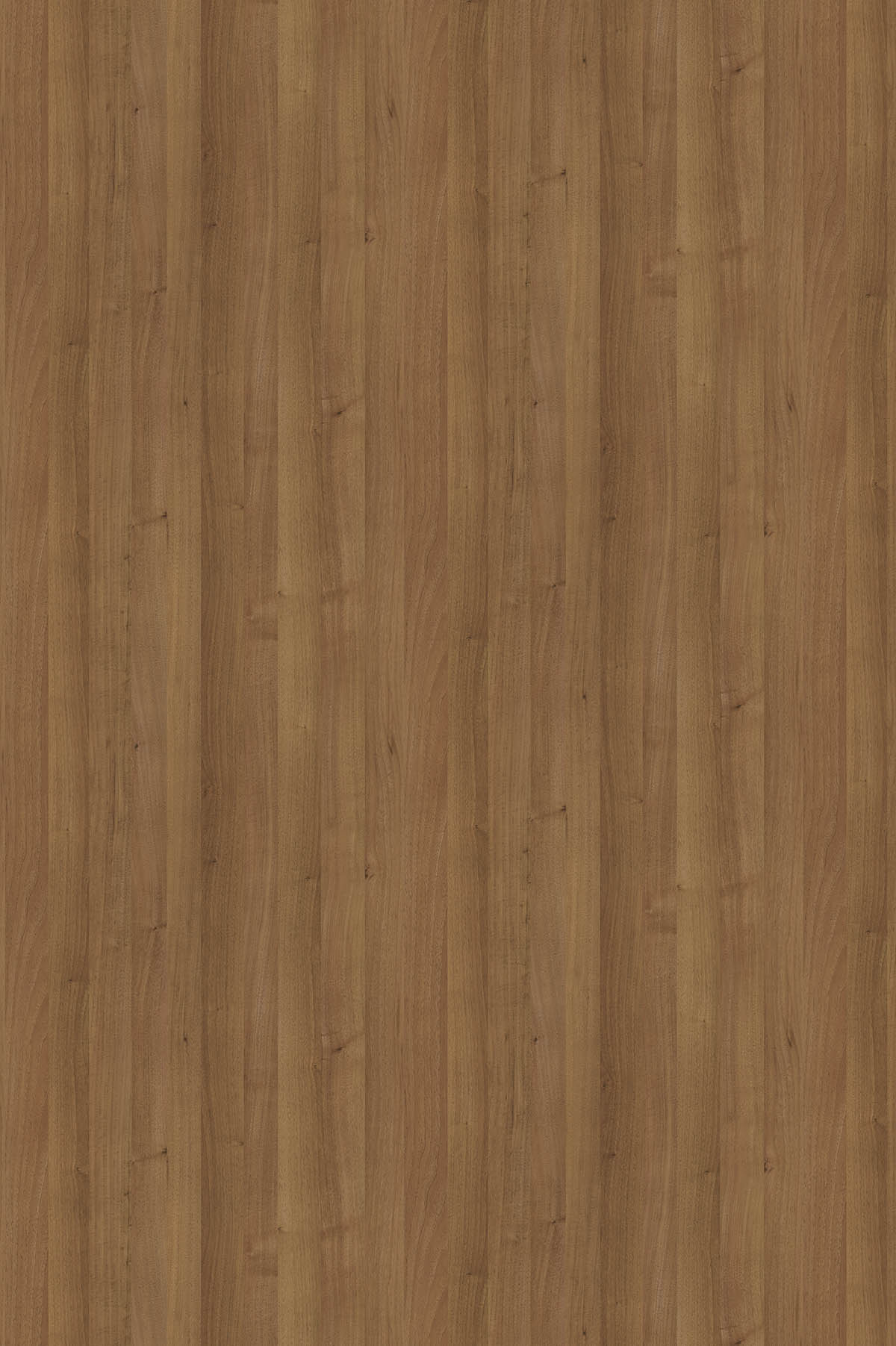 Ноче Гварнери, U1549_1830х2750