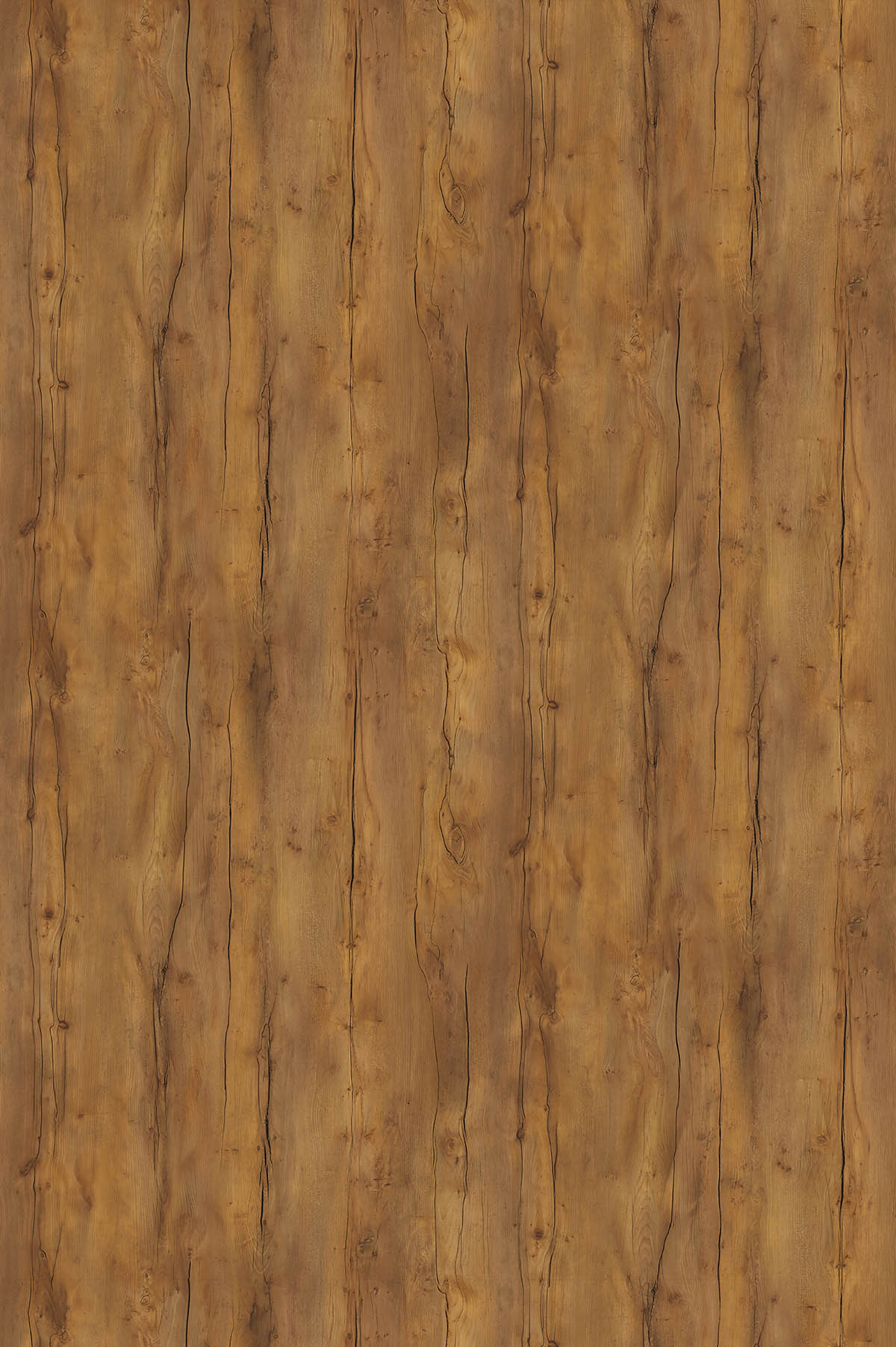 Таксония, U31120_1830х2750 Таксония, U31120_1830х2750