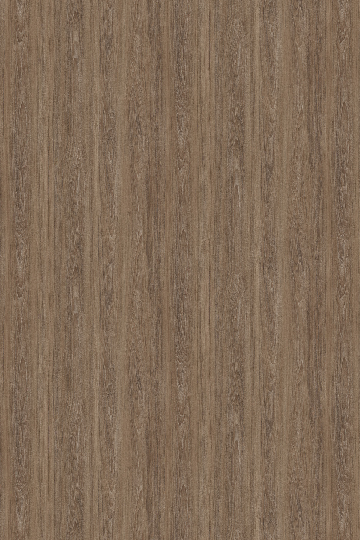 Рэд Фокс, U1135_2750x1830