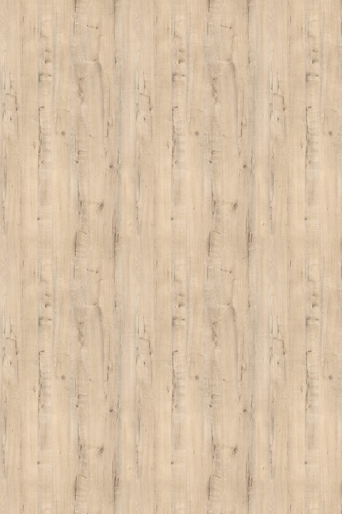 Дуб Ирландский, U31156_1830х2750