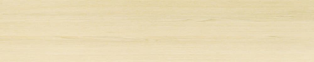 Дуб Паллада Дуб Паллада