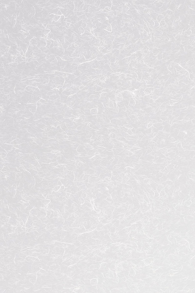 RicePaper24_36_72_2.jpg.970