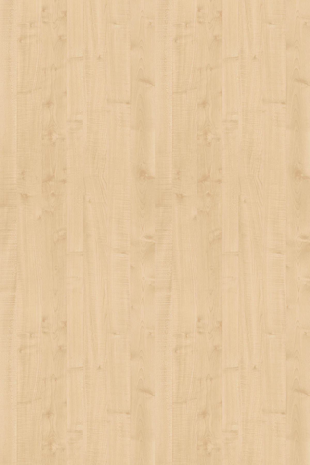 Клен Танзау, U9520_1830х2750