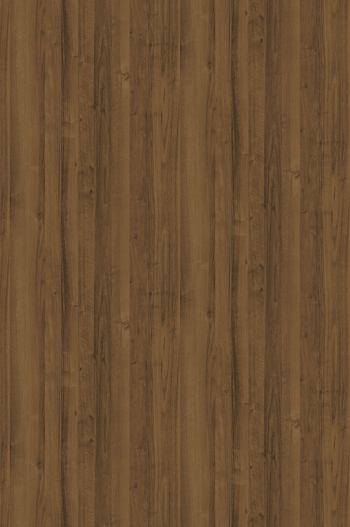 Ноче Экко, U1555_1830х2750