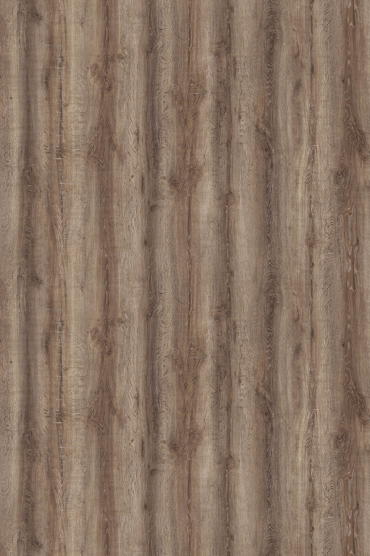 Дуб Сакраменто, U3194_1830х2750