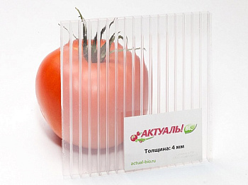 10 мм Сотовый поликарбонат 6000*2100мм Actual (1,27кг/м2)(00 прозрачный, 1UV)