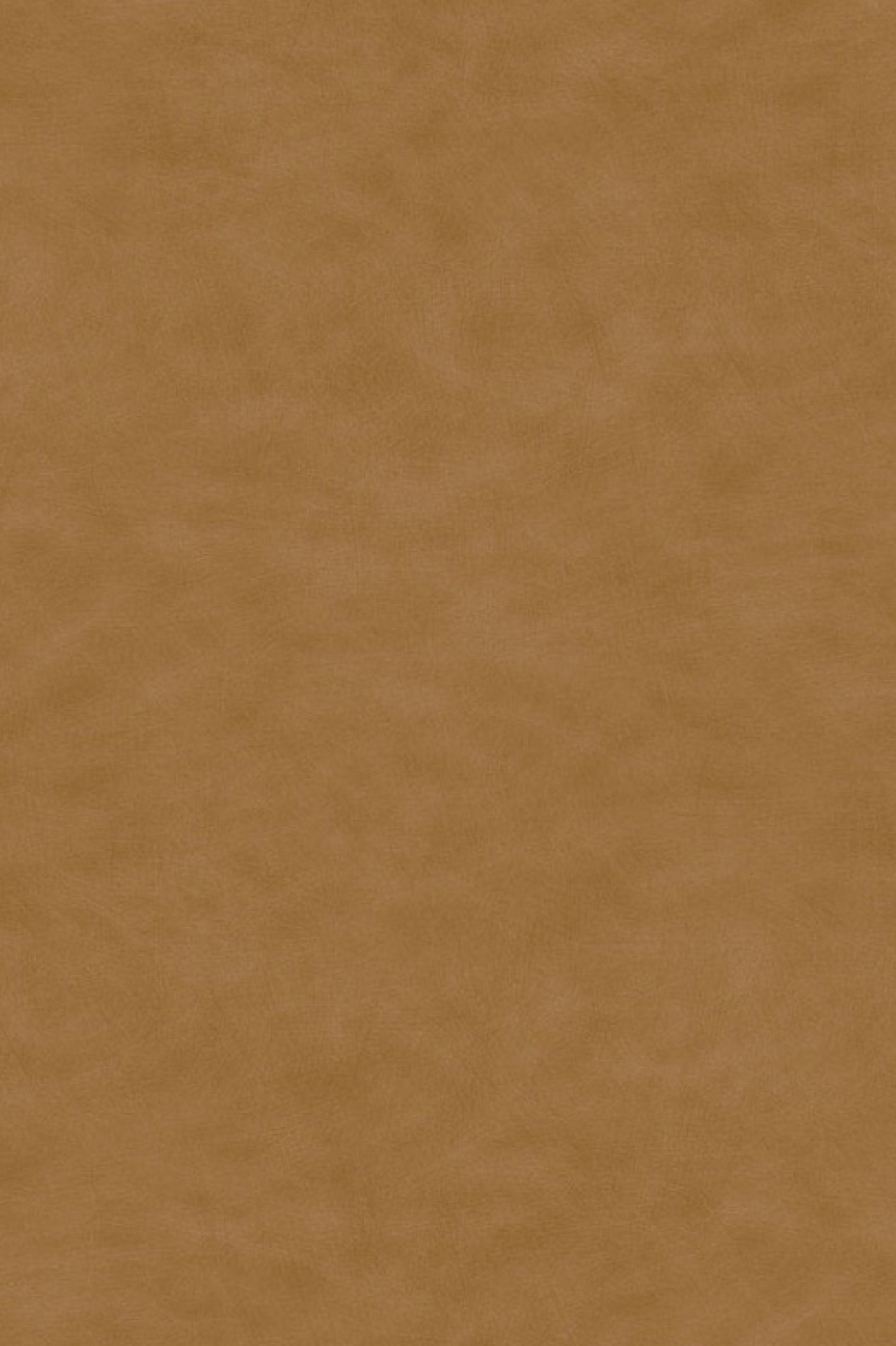Frame 21 (1)