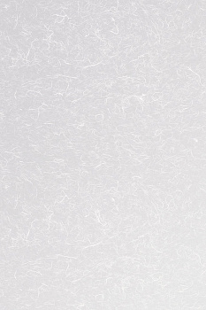 Пленка Rice paper