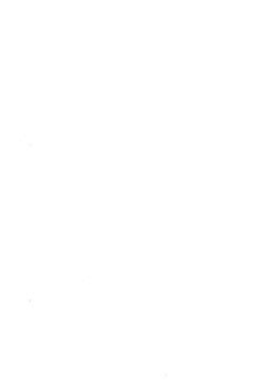 Белый СУПЕР ЛДСП 16мм 1830*2750