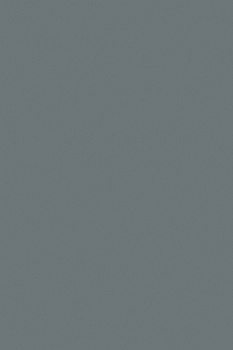 Пасифай PE ЛДСП 16мм 1830*2750 (NORDECO)